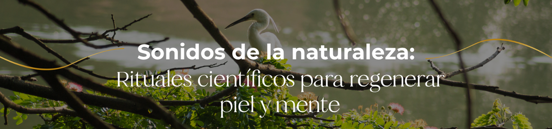 Sonidos de la naturaleza: Rituales científicos para regenerar piel y mente