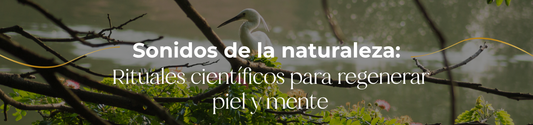 Sonidos de la naturaleza: Rituales científicos para regenerar piel y mente