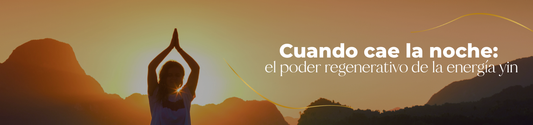 Cuando cae la noche: el poder regenerativo de la energía yin