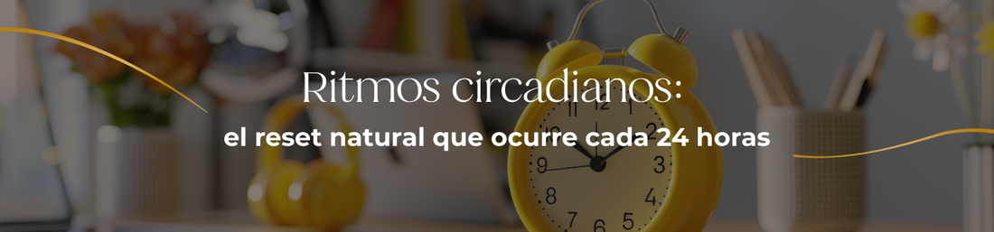 Ritmos circadianos: el reset natural que ocurre cada 24 horas