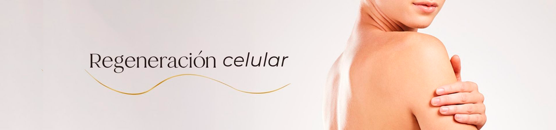 Regeneración celular: cómo activar este proceso natural para cuidar tu piel y salud desde adentro