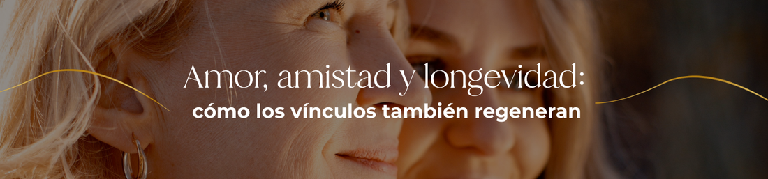 Amor, amistad y longevidad: cómo los vínculos también regeneran